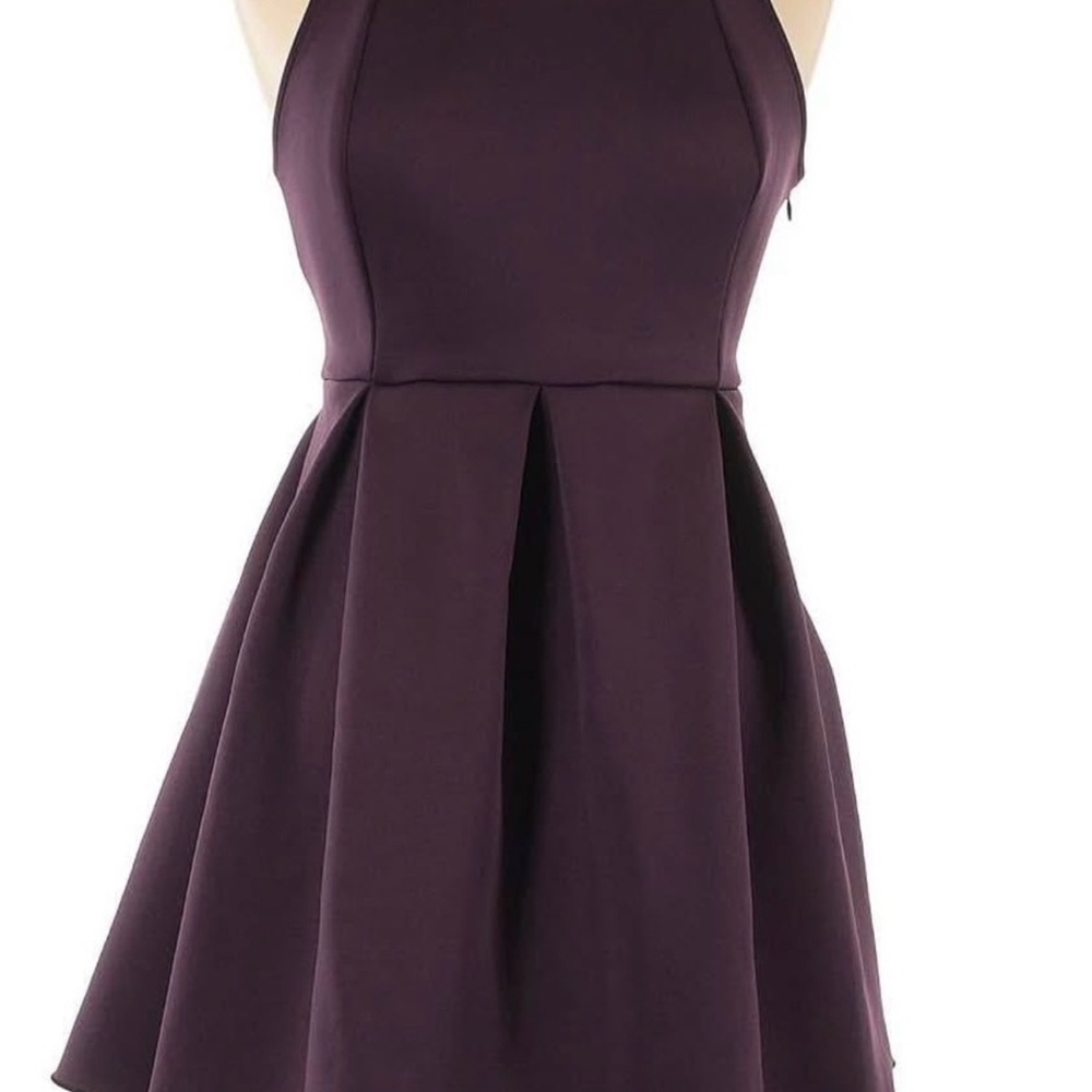 Express Deep Purple Mini Dress
